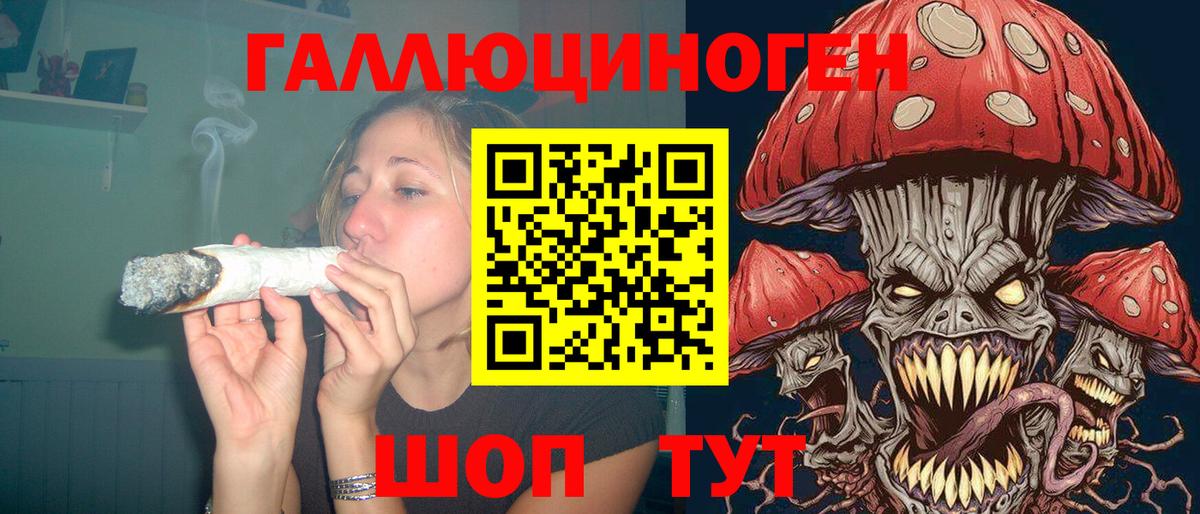 Галлюциногенные грибы Psilocybe Урай