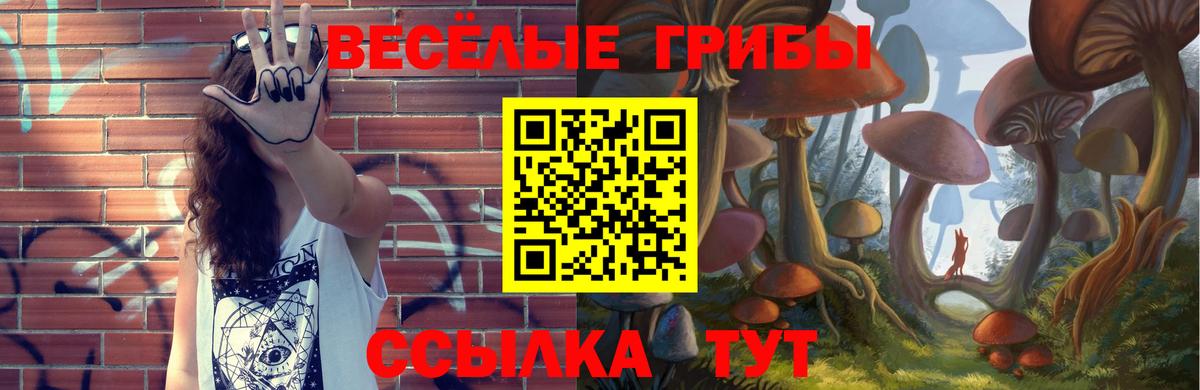 хочу наркоту  Псилоцибиновые грибы Cubensis  Вход с VPN  Урай 
