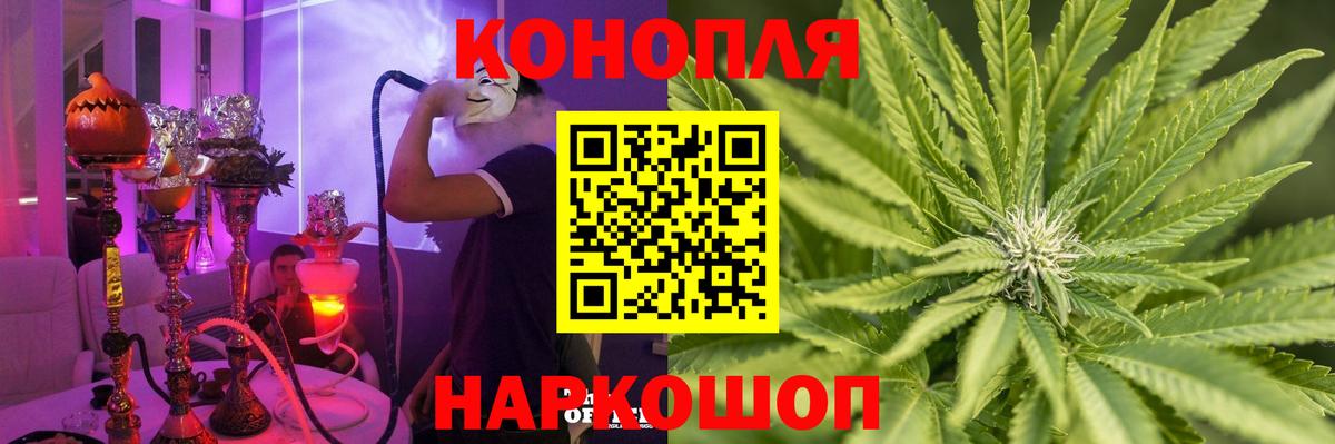 Каннабис планчик Урай